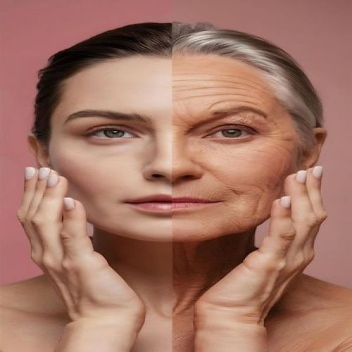 نقش آنتی‌اکسیدان‌ها در مقابله با پیری سلولی