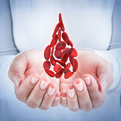 نقش آهن در پیشگیری از کم‌خونی و بهبود عملکرد مغز
