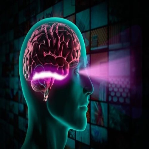 ارتباط بین حرکات چشم و سلامت مغز