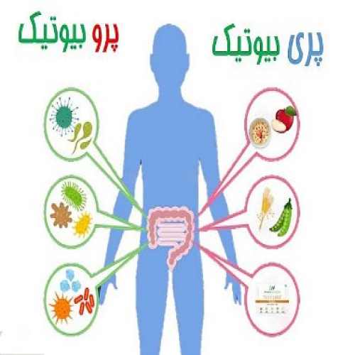 سین‌بیوتیک‌ها برای سلامت روده