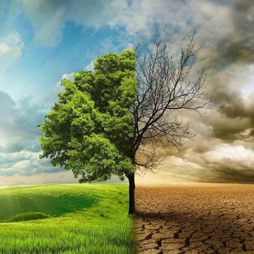 فناوری‌های مبارزه با تغییرات اقلیمی