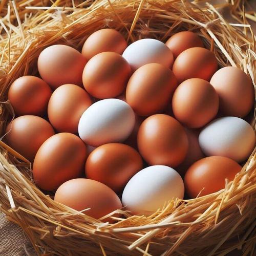 فواید شگفت‌انگیز تخم مرغ در کاهش استرس و اضطراب