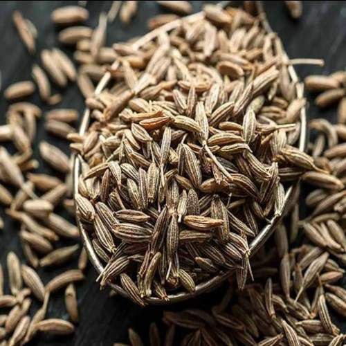خواص زنیان در بهبود سلامت گوارش و کاهش نفخ معده