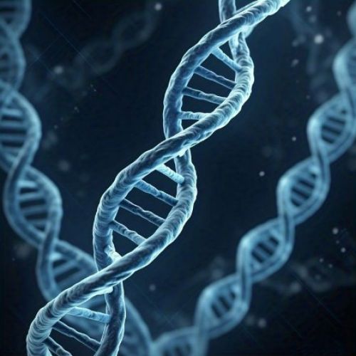 نانوروبات‌های مبتنی بر DNA معماری نانومقیاس برای آینده زیست‌فناوری