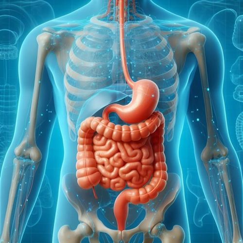 نقش روده در ایجاد احساس خوشی