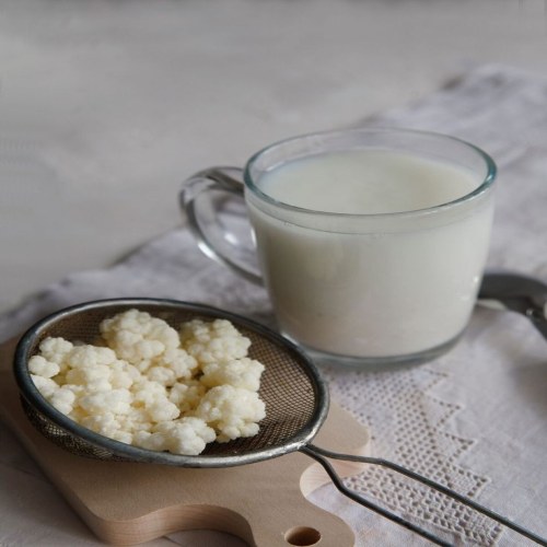 کفیر خانگی در مقایسه با کفیر صنعتی
