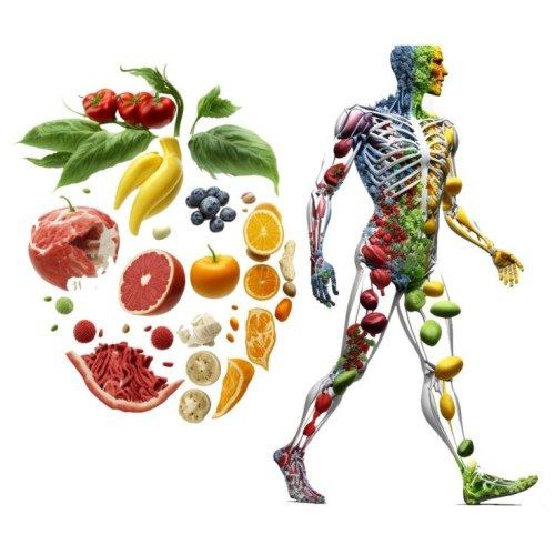 تأثیر تغذیه نانو (Nano-nutrition) بر بهبود عملکرد بدن