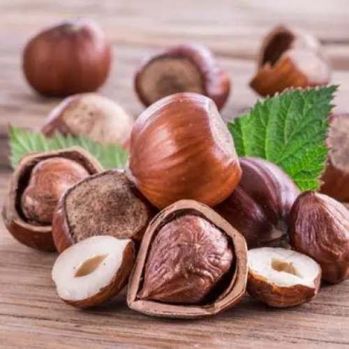 تأثیر فندق در تقویت پوست و کاهش چین و چروک