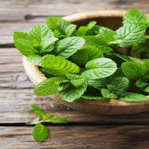 خواص پونه در تسکین مشکلات گوارشی و کاهش دردهای معده
