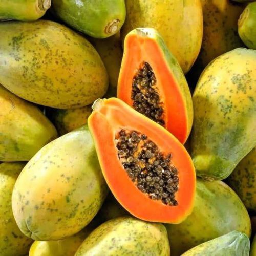  گیاه پاپایا و تأثیر آن بر بهبود هضم و تقویت پوست
